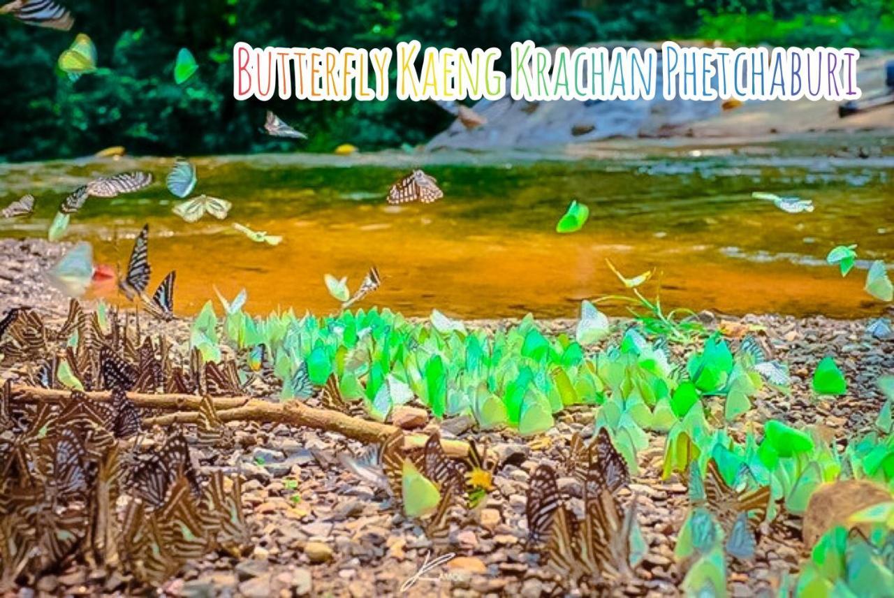 Baan Rai Pray Rung Kaeng Krachan Ban Tha Ling Lom Eksteriør billede